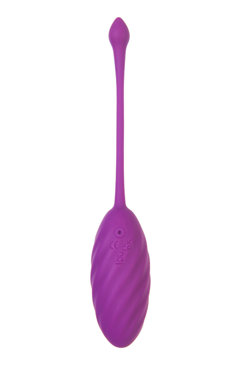 картинка Виброяйцо A-Toys Purr, силикон, фиолетовый, 18 см от магазина ErosMania