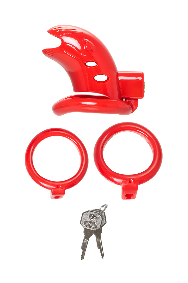 картинка Пояс верности мужской Black&Red by TOYFA, ABS пластик, красный, 10 см от магазина ErosMania