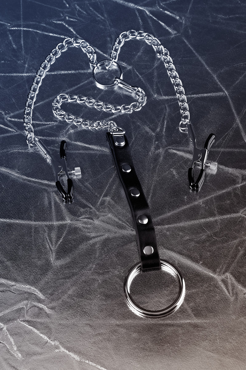 картинка Зажимы для сосков TOYFA Metal с кольцом для пениса, серебряные, 60 см от магазина ErosMania