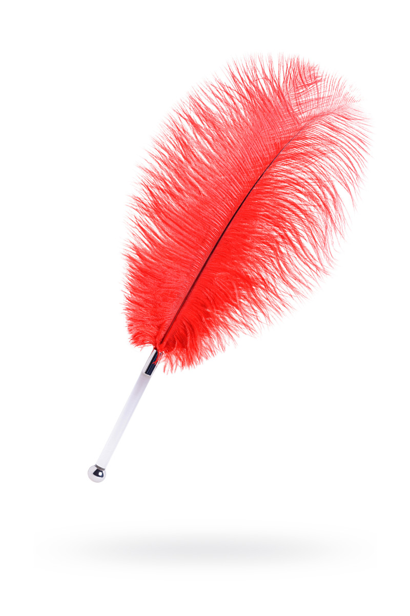 картинка Перо TOYFA Theatre, страусиное, красный, 40 см от магазина ErosMania