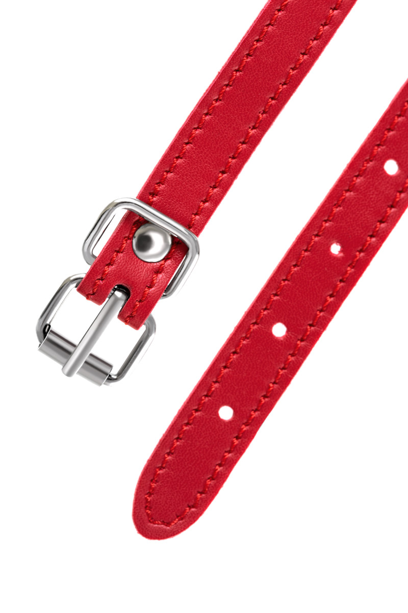 картинка Маска Anonymo, PU кожа, красная, 65 см от магазина ErosMania