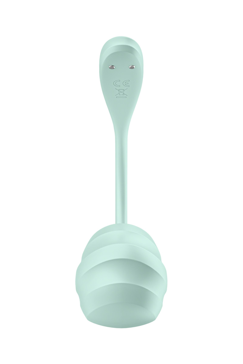 картинка Виброяйцо Satisfyer Smooth Petal Connect App, мятное, 6,5 см от магазина ErosMania